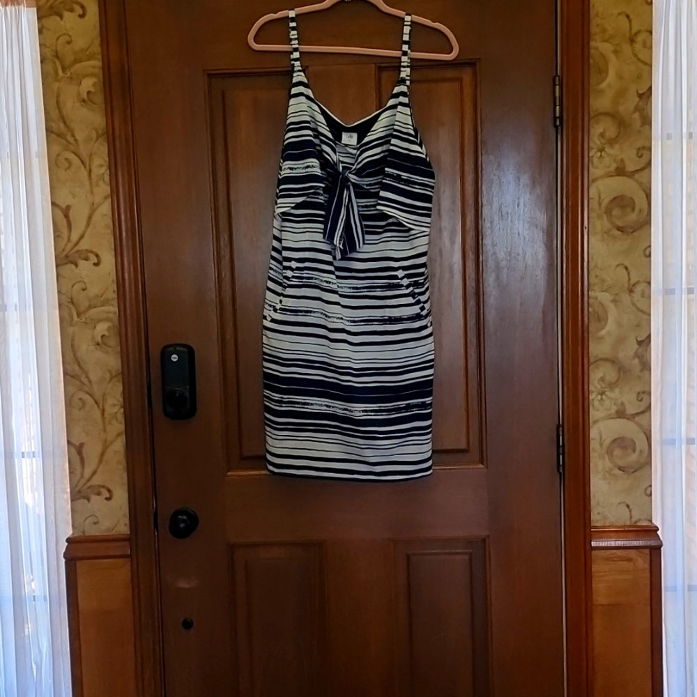 CAbi summer dress